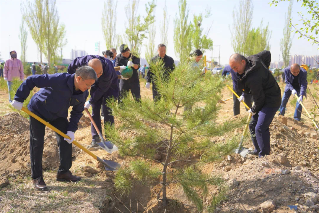 自治区统计局组织开展“争当义务植树先锋 共筑北疆绿色长城”义务植树活动